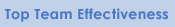 Top Team Effectiveness